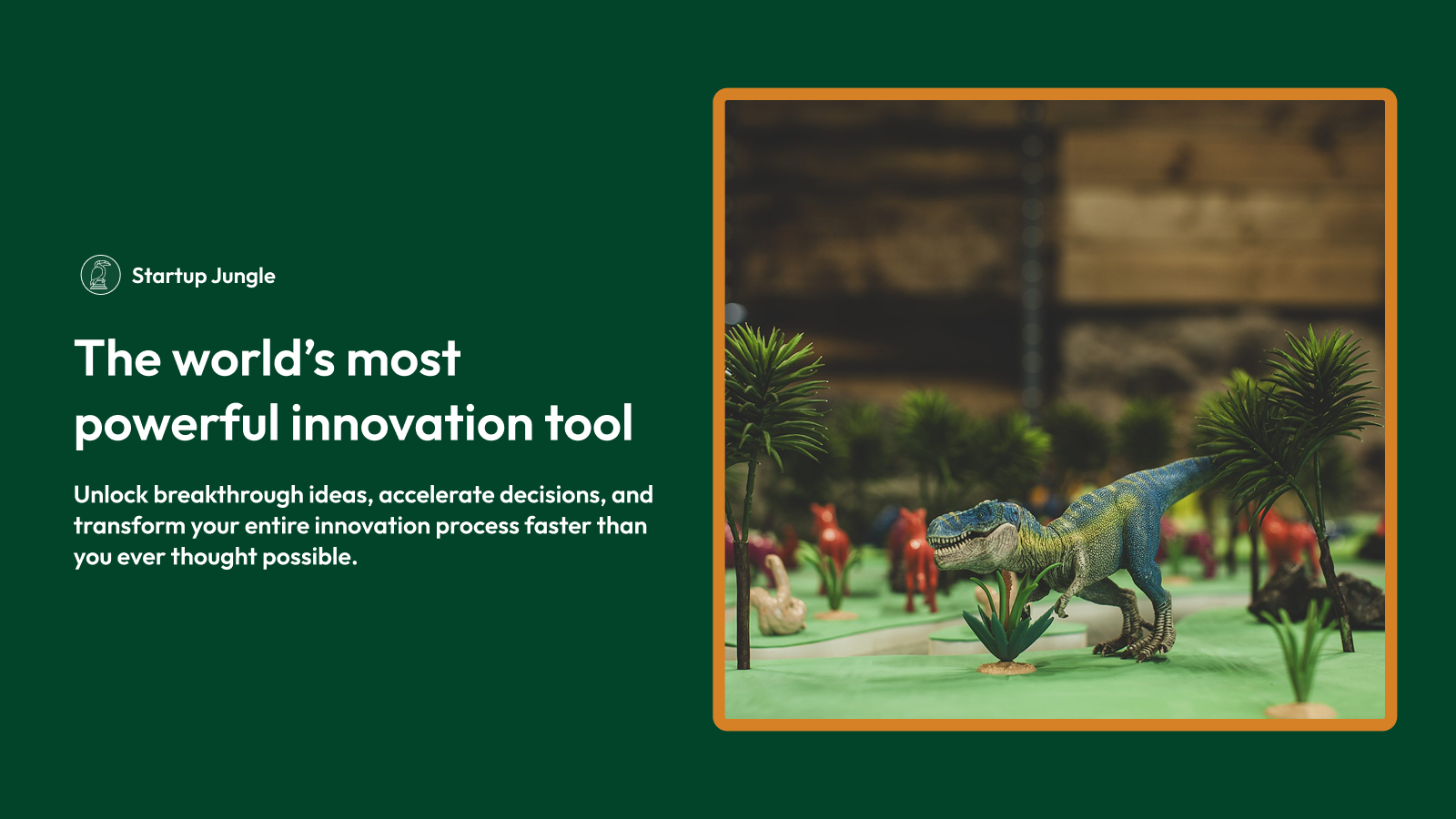 Startup Jungle — 1